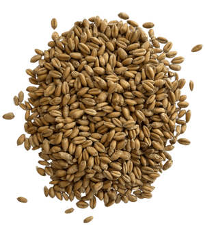 Soft Red Winter Wheat - Organic Grain Berries - 1847 Stone Milling