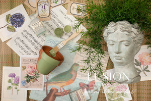 Conservatory - Fusion Mineral Paint