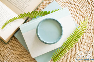 Harbor - Silk All-In-One Mineral Paint