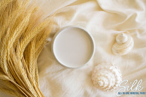 Oyster - Silk All-In-One Mineral Paint