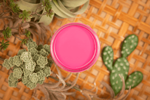 Prickly Pear - Silk All-In-One Mineral Paint