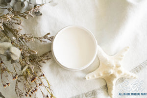 Salt Water - Silk All-In-One Mineral Paint