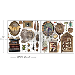 Redesign Decor Maxi Transfer - Collector's Closet