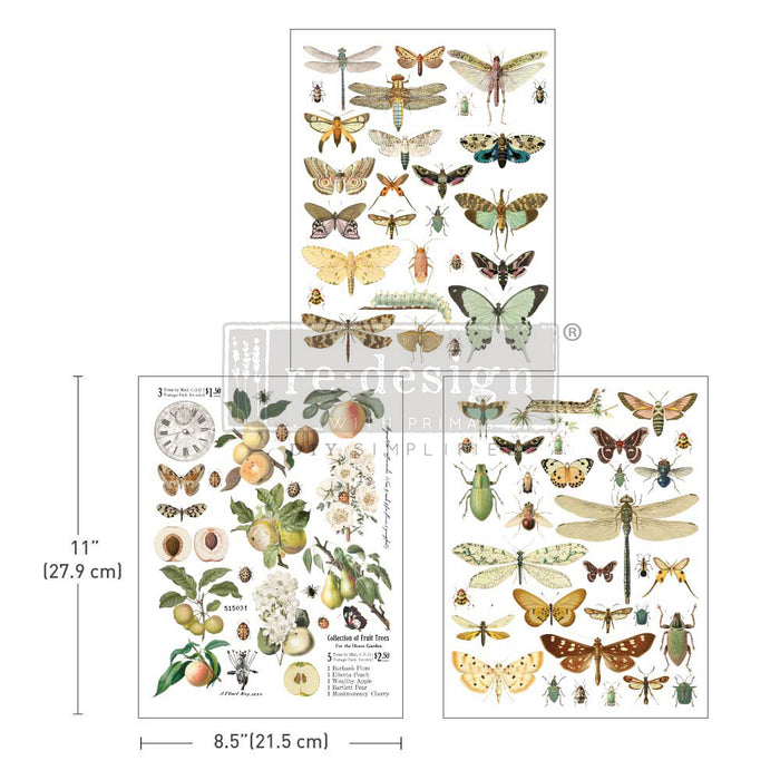Redesign Decor Middy Transfer - Bug Whisperer