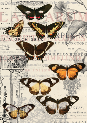 Vintage Butterflies Premium Decoupage Tissue Paper - Belles And Whistles