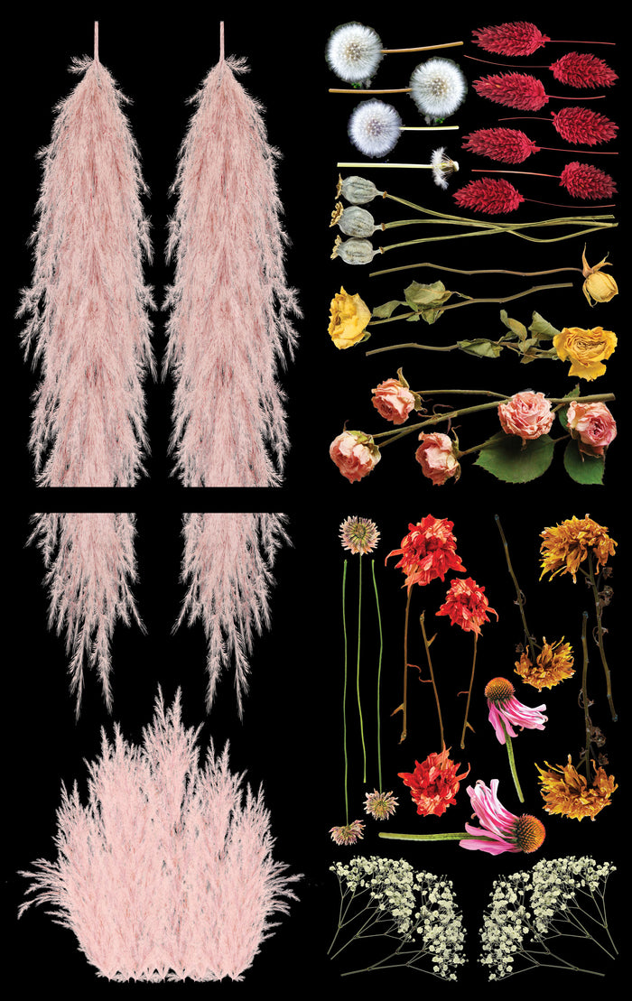 Pink Pampas And Dried Wilds Transfer - Belles And Whistles