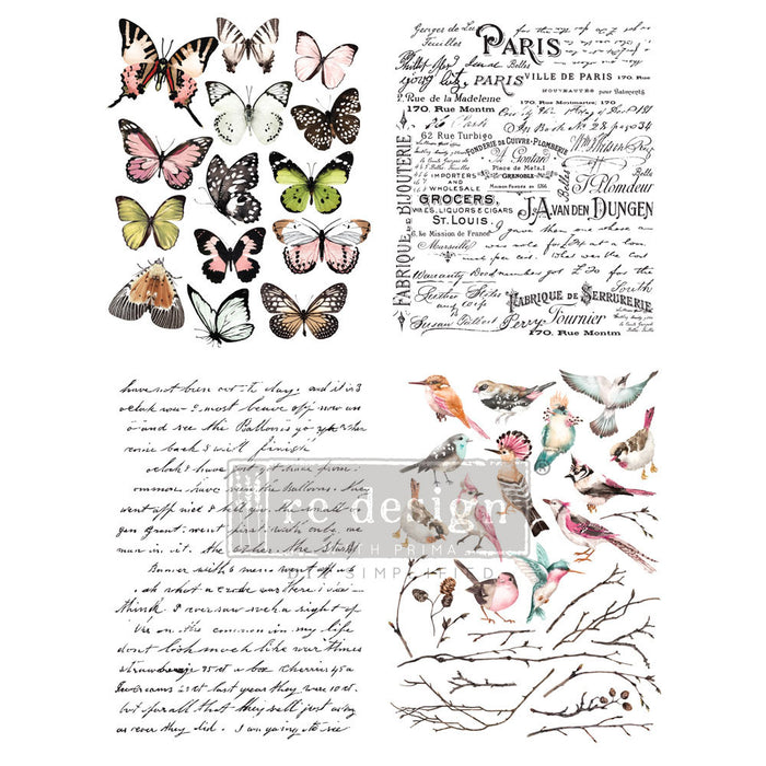 Redesign Transfer - Parisian Butterflies