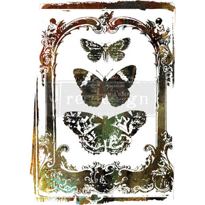 Redesign Decor Transfer - Butterfly Frame