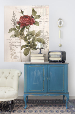 Redesign Decor Transfers - Botanical Rose