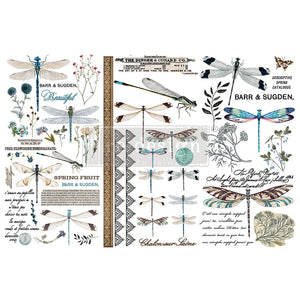 Redesign Decor Small Transfer - Spring Dragonfly