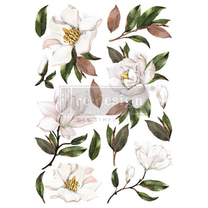 Redesign Decor Transfer - Magnolia Grandiflora