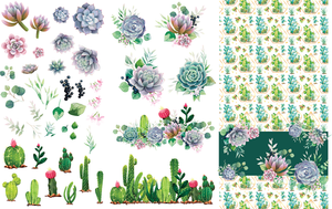 Cacti & Succulents Transfer - Belles And Whistles