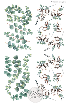 Cotton & Eucalyptus Transfer - Belles And Whistles