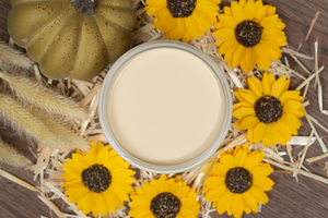 Suzanne's Fall Colors - Limited Edition - Cashmere Chalk Mineral Paint - Dixie Belle Paint