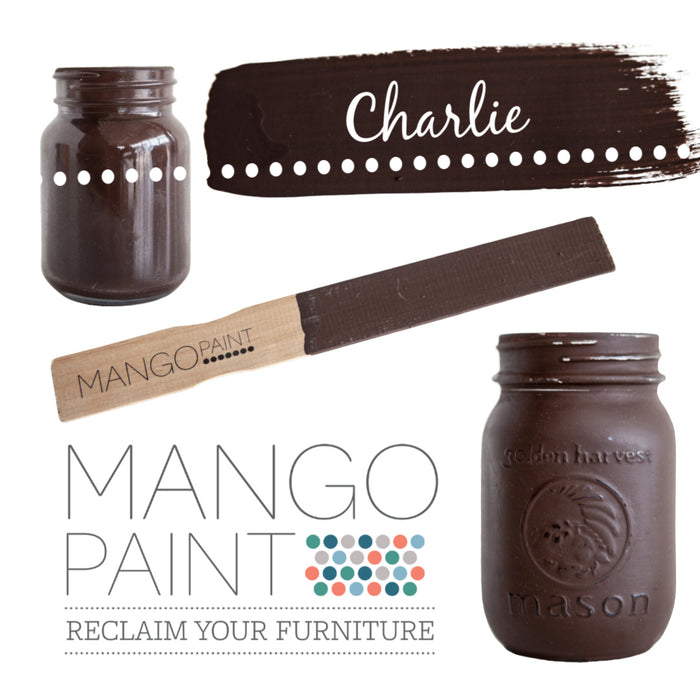 Charlie - Mango Paint