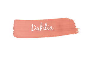 Dahlia - Mango Paint