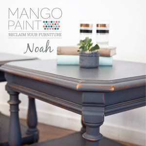 Noah - Mango Paint