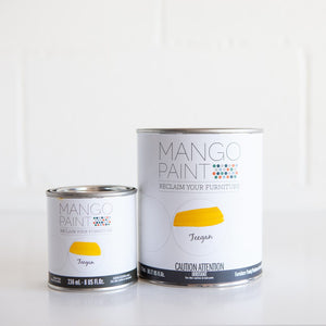 Teegan - Mango Paint