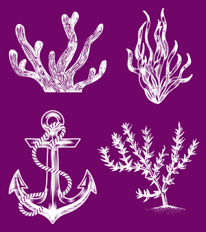 Nautical Silkscreen Stencil Package - Belles And Whistles