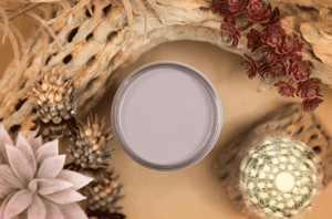 Morning Sunrise - Silk All-In-One Mineral Paint