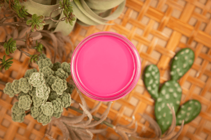 Prickly Pear - Silk All-In-One Mineral Paint
